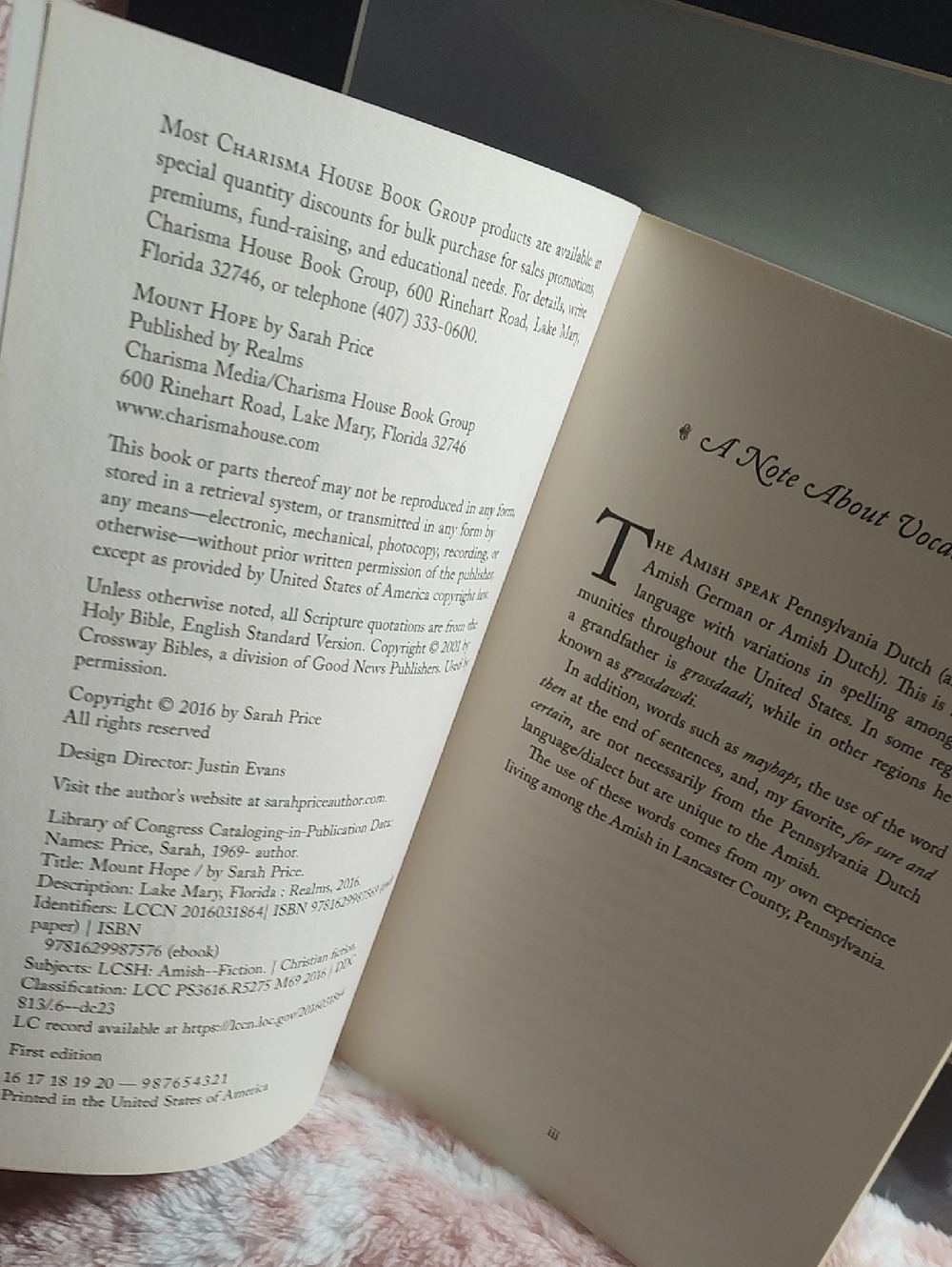 Mount Hope by Sarah Price - 📚/2016 - Picture 4 of 7